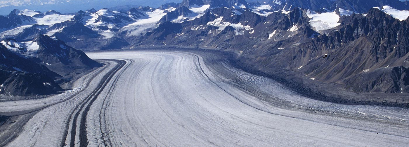 Tour through the heart of Denali National Park 