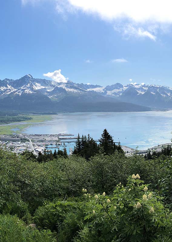 A mountain view of a lake with snowy mountain peaks in the distance