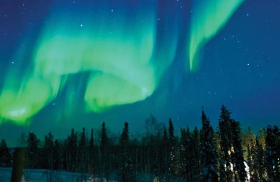 An aurora borealis in the night sky with forest surrounding it.