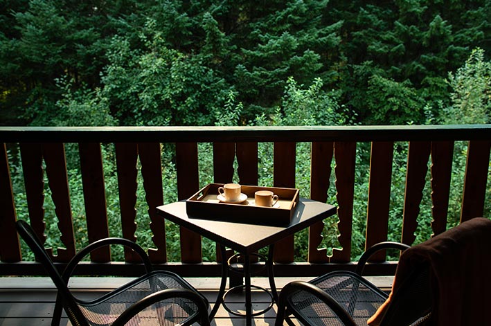 Two chairs and a table on a patio looking out into a forest.