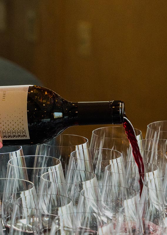 Red wine being poured into wine glasses.