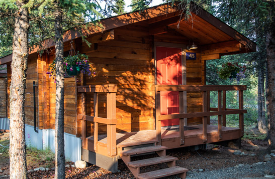 An exterior view of a Denali Cabin surrounded by trees