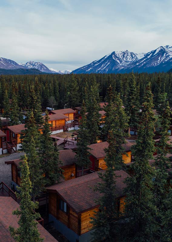 Denali Cabin Drone View