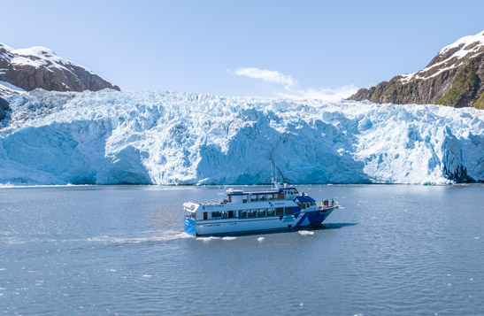 A group of people standing on the bow of a KFT boat, pointing at something in the distance.