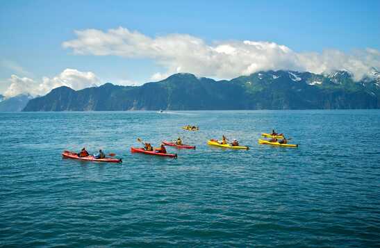 Morning Kayak-Cruise Combo