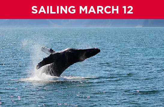 Two people dining on the KFT Glacier Dinner Cruise